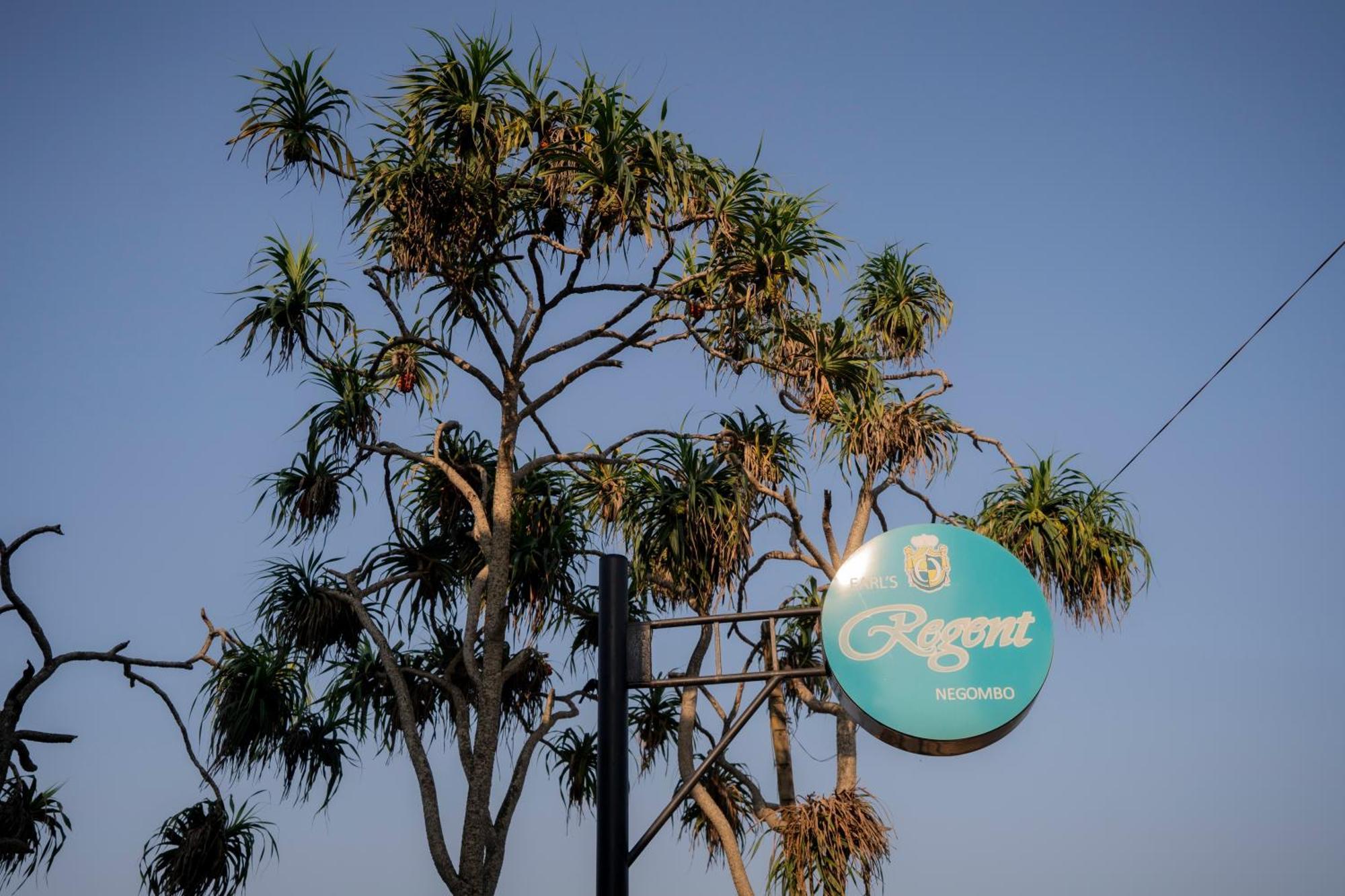 Hotel Earl'S Regent Negombo Exterior foto